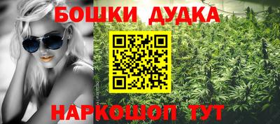 прущие грибы Абакан