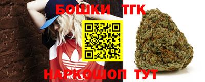 прущие грибы Абакан