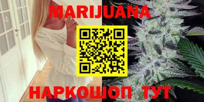 прущие грибы Абакан