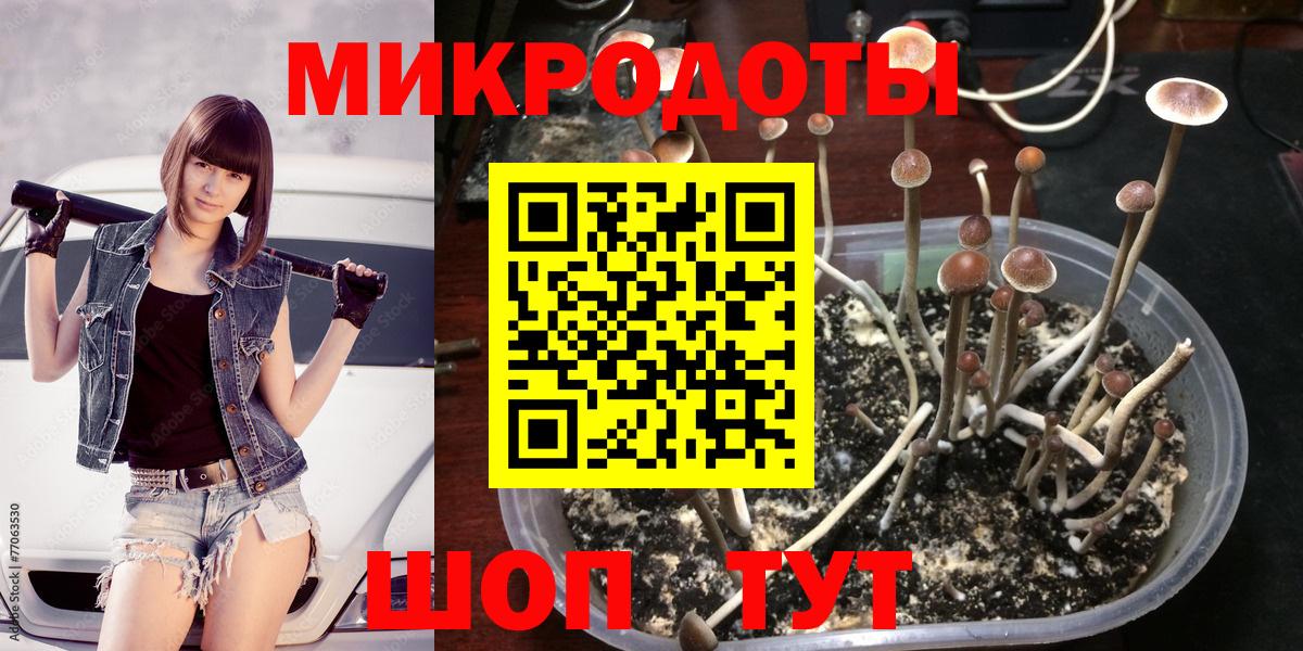 Псилоцибиновые грибы мицелий  Вход с VPN  Алатырь 