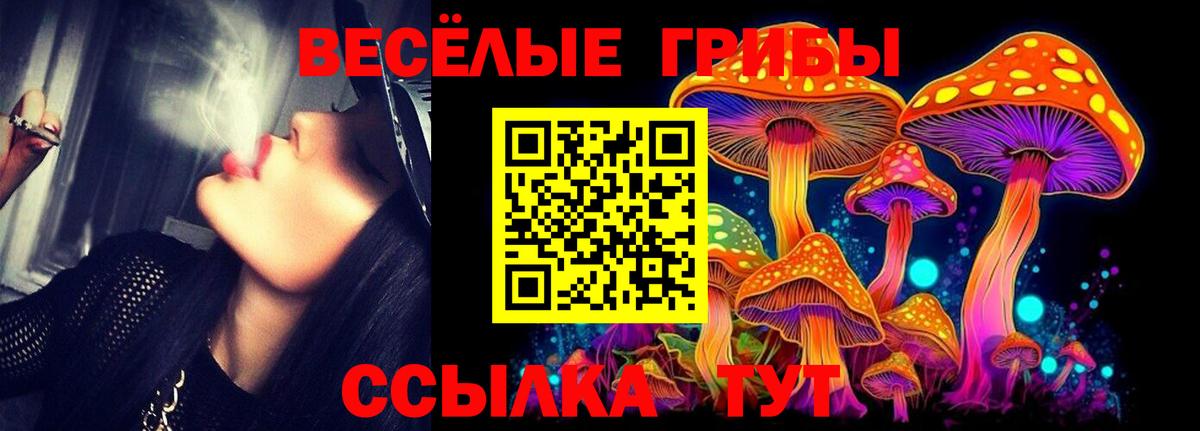 Псилоцибиновые грибы Magic Shrooms Алатырь